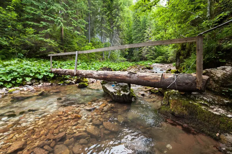 Ritchey Woods Nature Preserve